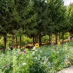 Nature Village - Homely N°24 - 8 Personnes Avec Jacuzzi *