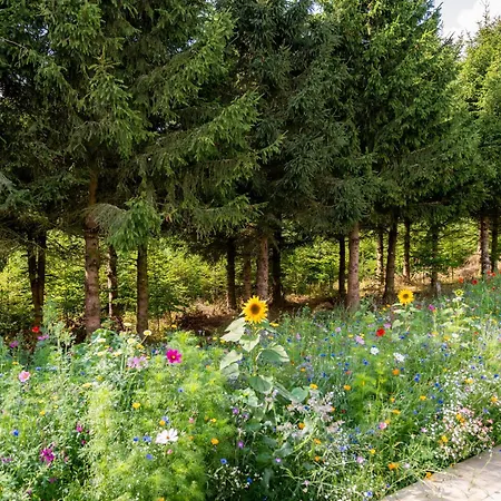 Nature Village - Homely N°24 - 8 Personnes Avec Jacuzzi *